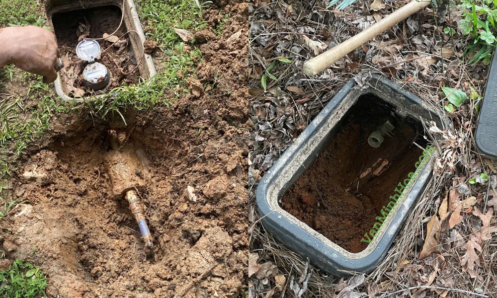 lợi ích của hộp bảo vệ đồng hồ bằng nhựa md