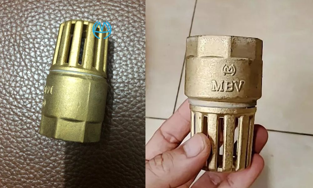 luppe đồng là gì