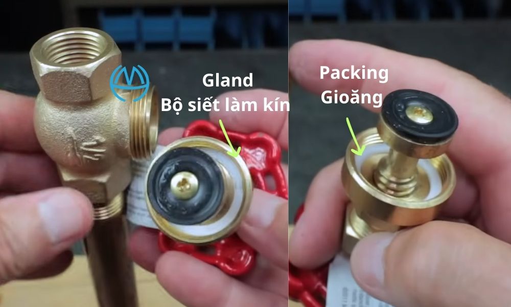 packing gland brass gate valve và bộ siết