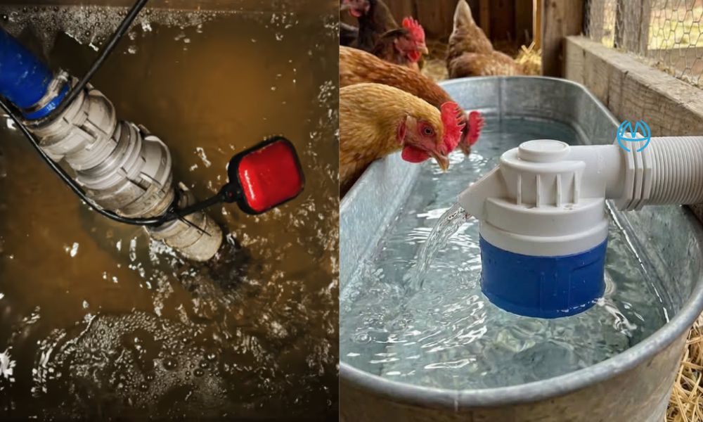 phao chống tràn bồn nước là gì