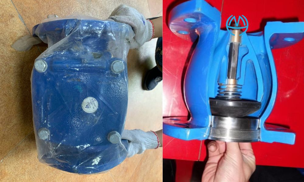 thương hiệu van một chiều lò xo gang