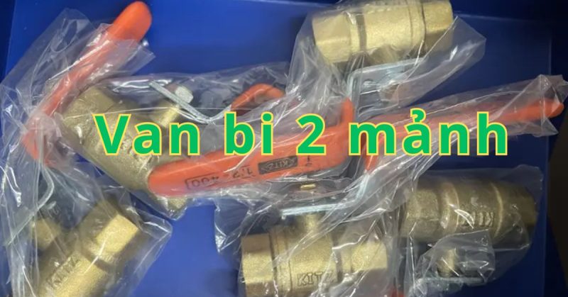 van bi 2 mảnh