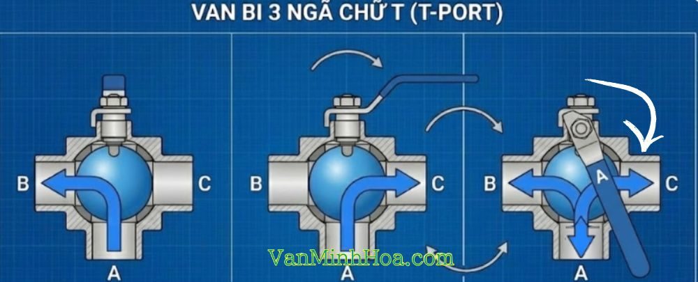 van bi 3 ngã chữ t