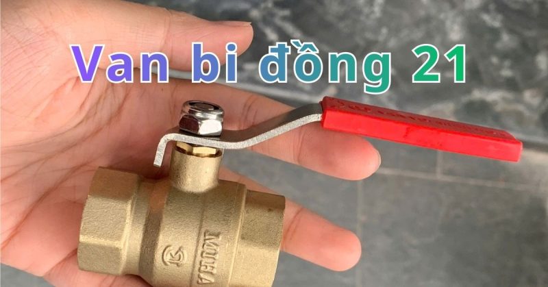 van bi đồng 21