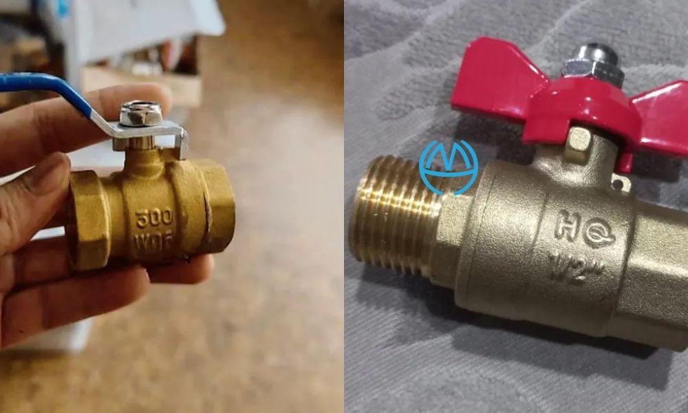 van bi đồng 21 là gì