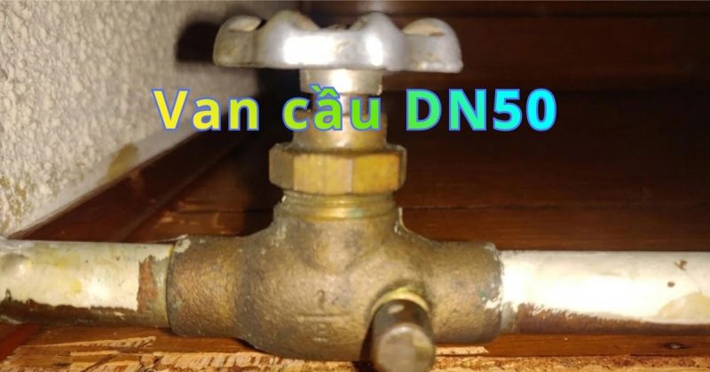 van cầu dn50