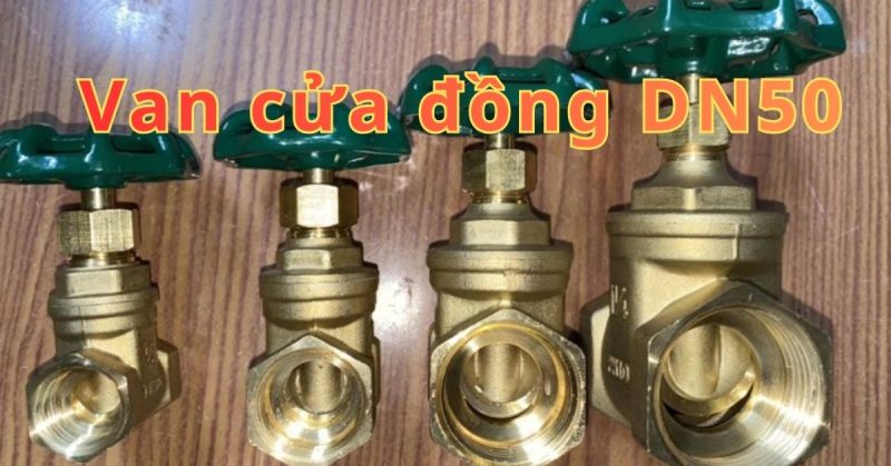 van cửa đồng dn50
