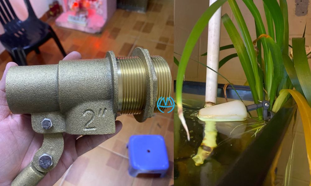 van phao cơ d50 là gì