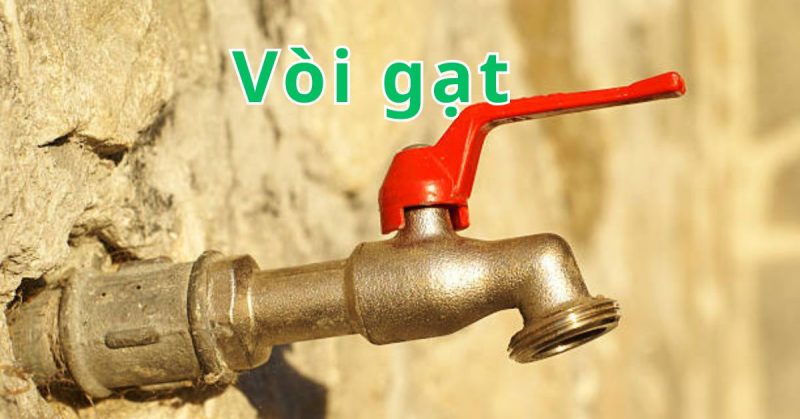 vòi gạt