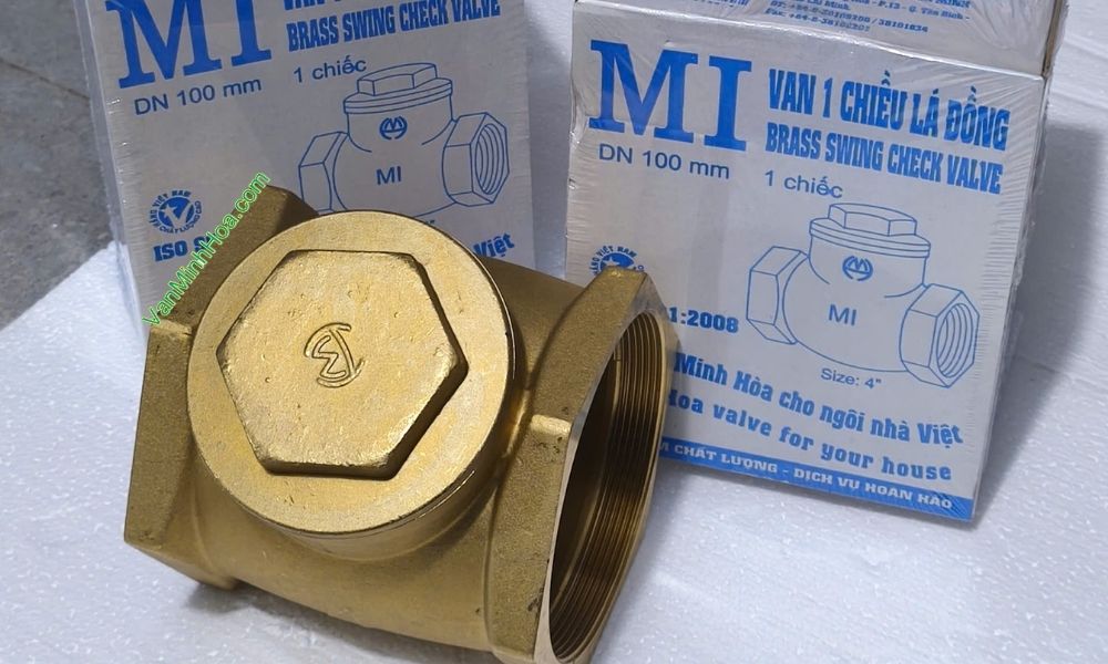 bao bì của van 1 chiều lá mi dn100