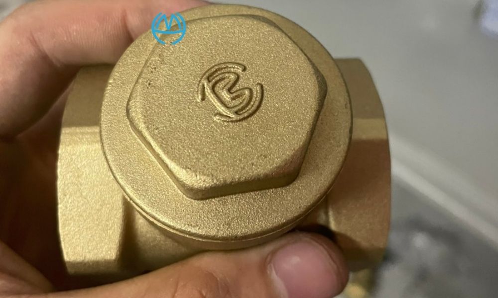 cận cảnh nắp bảo trì van 1 chiều lá mbv dn50