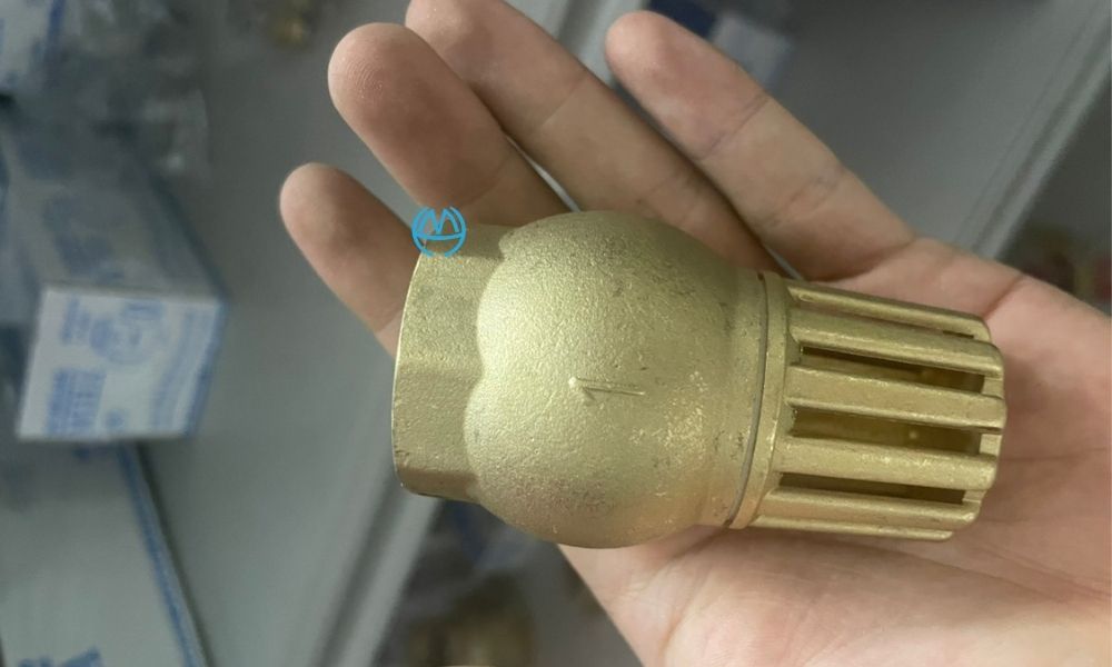 kiểu dáng của rọ miha dn25