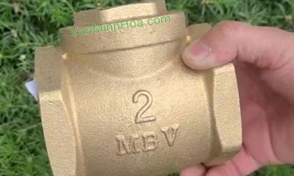 nhận diện van 1 chiều lá mbv dn50