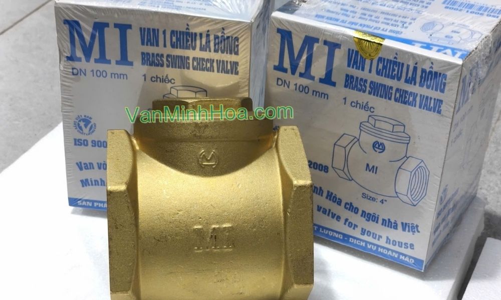 nhận diện van 1 chiều lá mi dn100