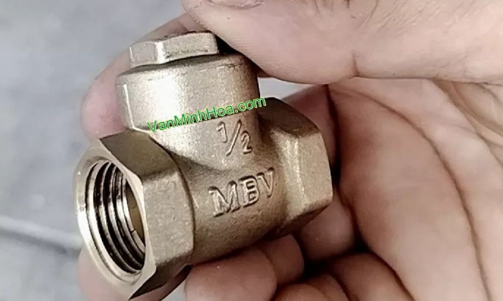 thân van một chiều lá mbv dn15