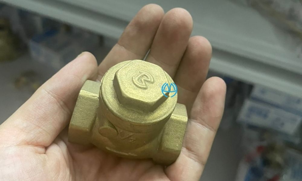 thiết kế tổng thể của van 1 chiều lá mi dn15