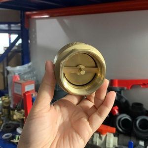 van 1 chiều lò xo mbv dn15