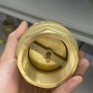 van 1 chiều lò xo mbv dn50