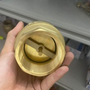 van 1 chiều lò xo miha dn50