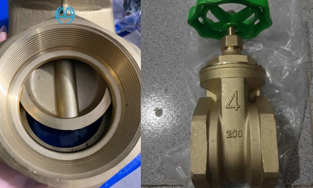 van cửa miha dn100 là gì