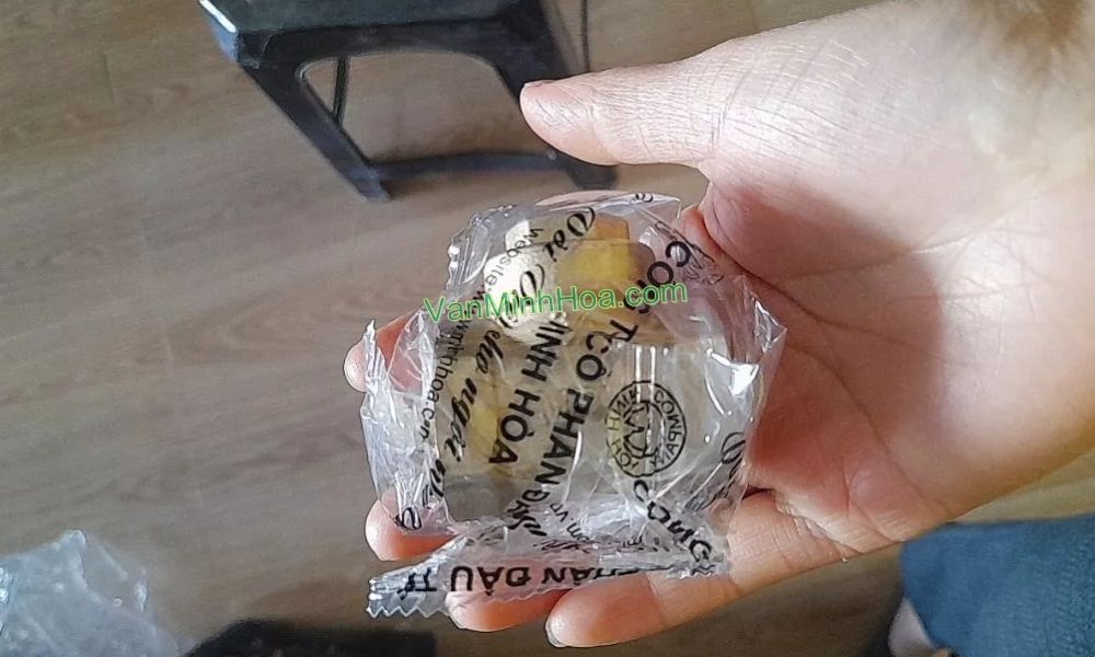 bao bì của van 1 chiều lá mbv dn20