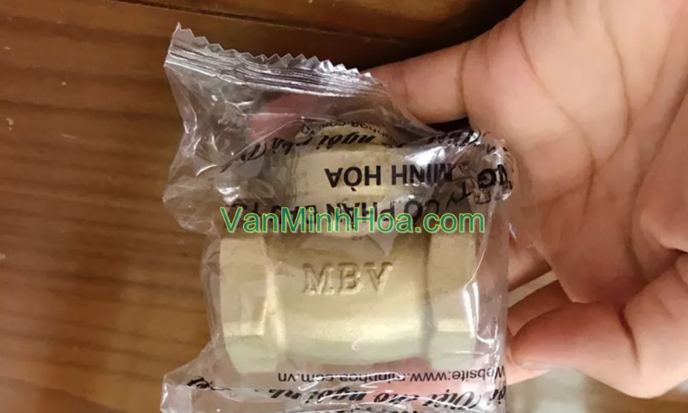 bao bì đóng gói của van 1 chiều lá lật mbv dn32