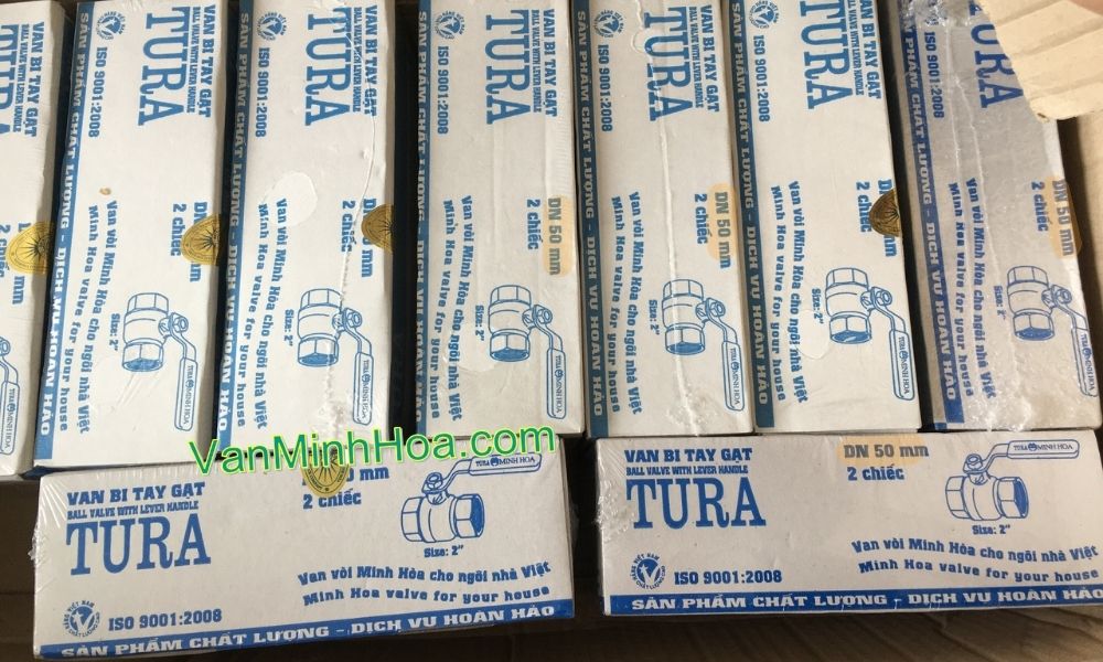 bao bì đóng hộp của van bi tura dn50
