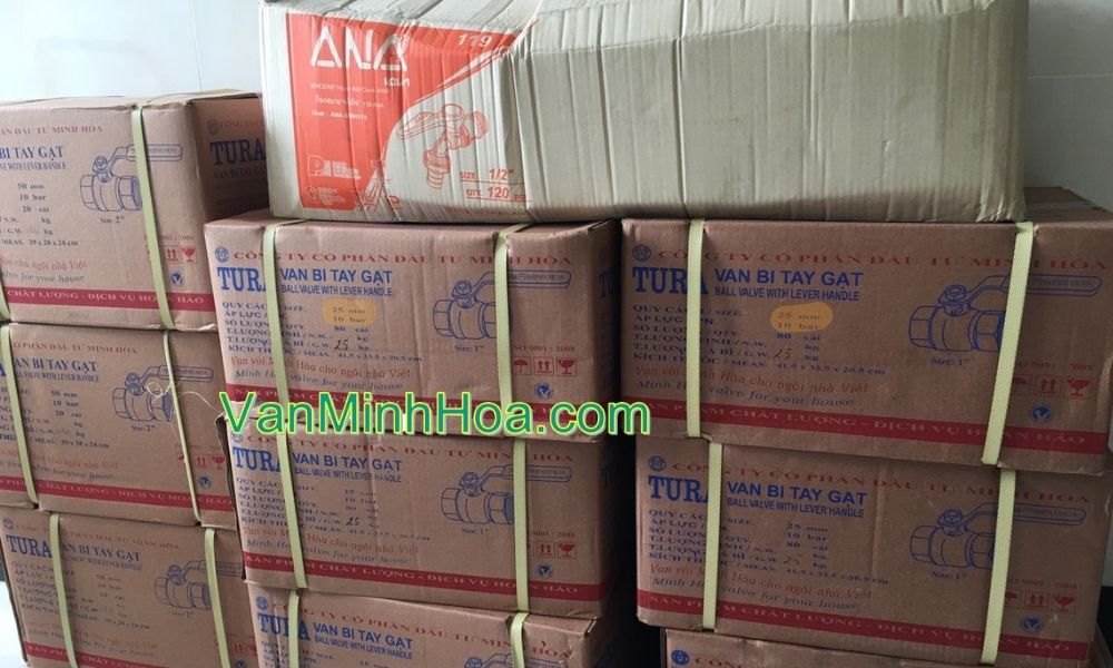 bao bì đóng thùng van bi tura dn25
