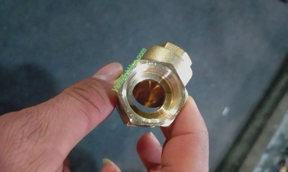 cận cảnh lá lật của van 1 chiều lá mbv dn20