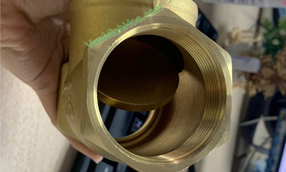 cận cảnh lá lật của van 1 chiều lá miha dn20