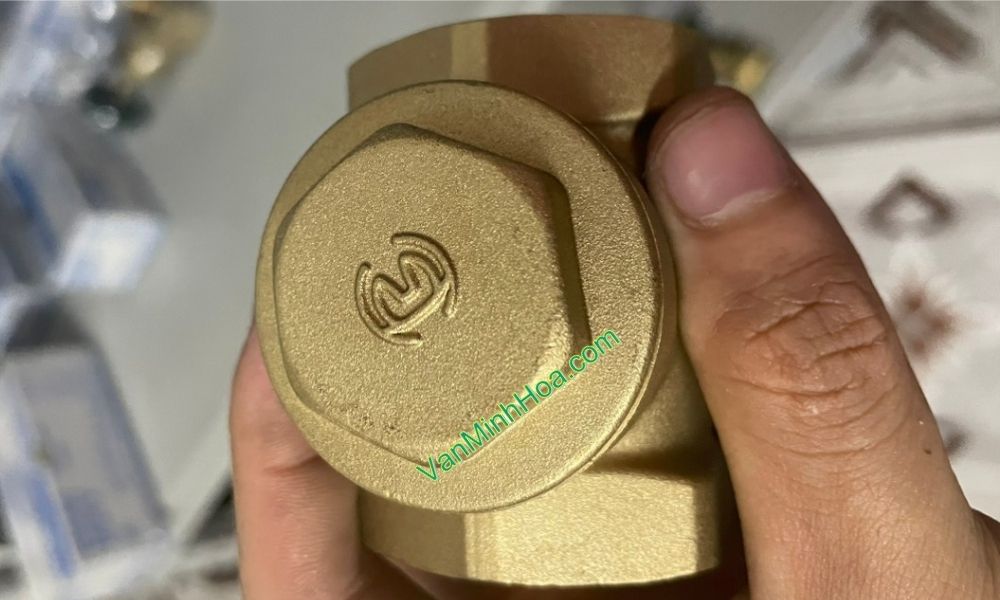 cận cảnh nắp van lục giác của van 1 chiều lá miha dn65