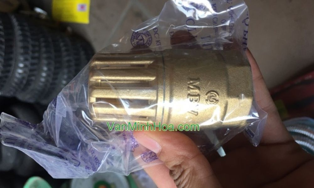 cận cảnh rọ bơm mbv dn20