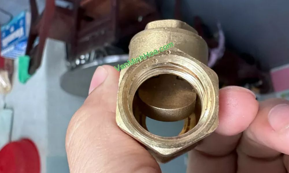 cận cảnh van 1 chiều lá mbv dn25