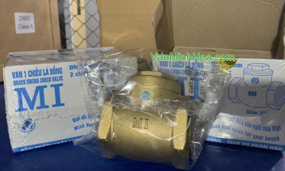 cận cảnh van 1 chiều lá mi dn50