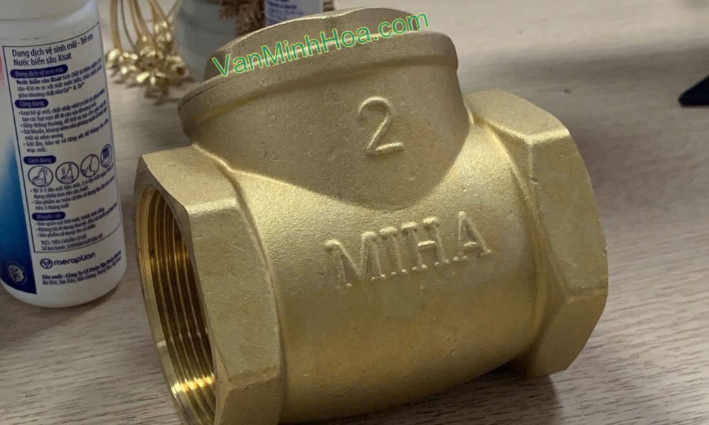 địa chỉ mua van 1 chiều lá miha dn50