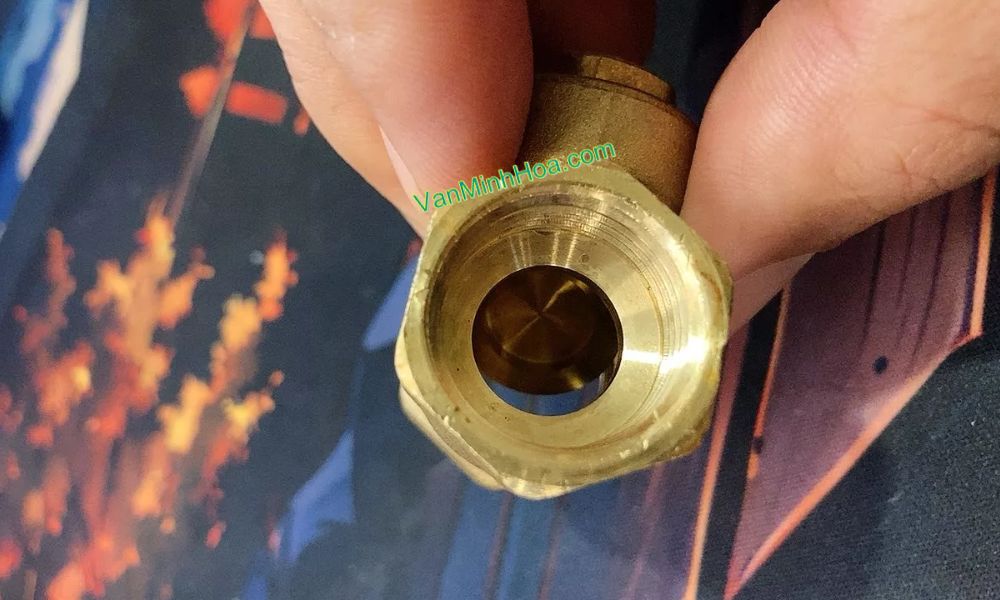 lá lật của van 1 chiều lá mbv dn32