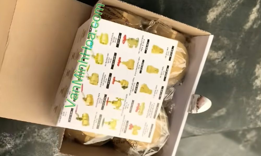 mở hộp van 1 chiều lá miha dn65