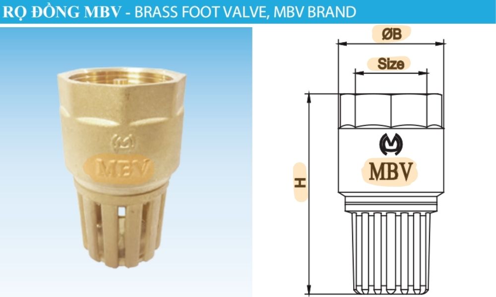 tên gọi của rọ mbv dn32