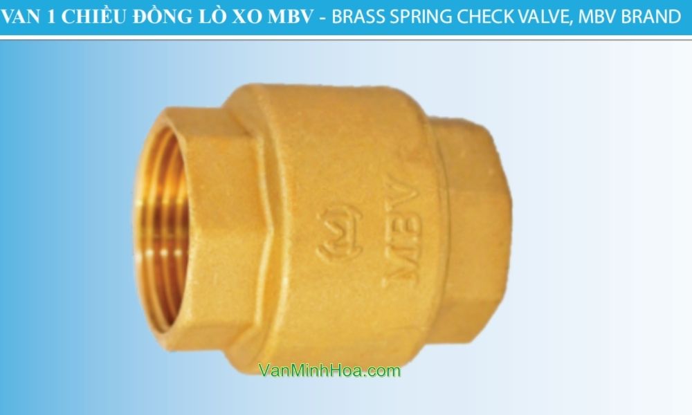 tên gọi của van 1 chiều lò xo miha dn25