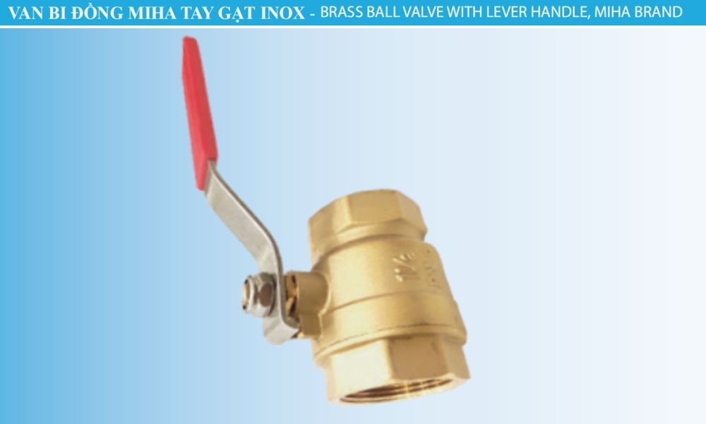 tên gọi của van bi miha tay inox dn100