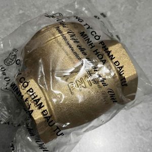 van 1 chiều lá miha dn100