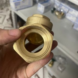 van 1 chiều lá miha dn20