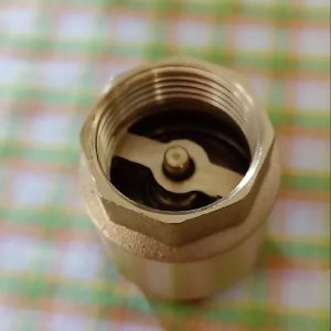 van 1 chiều lò xo miha dn100