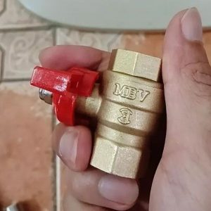 van bi mbv tay bướm dn20