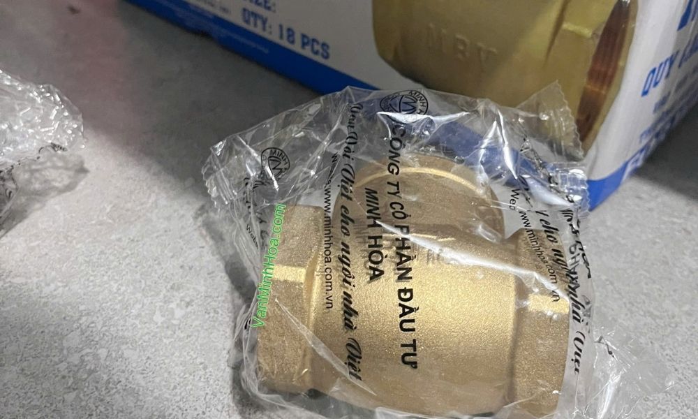 điểm đặc trưng của van 1 chiều lá mbv dn100