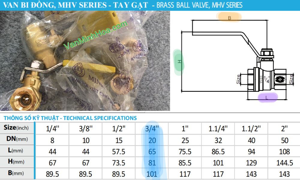kích thước của van bi mhv dn20