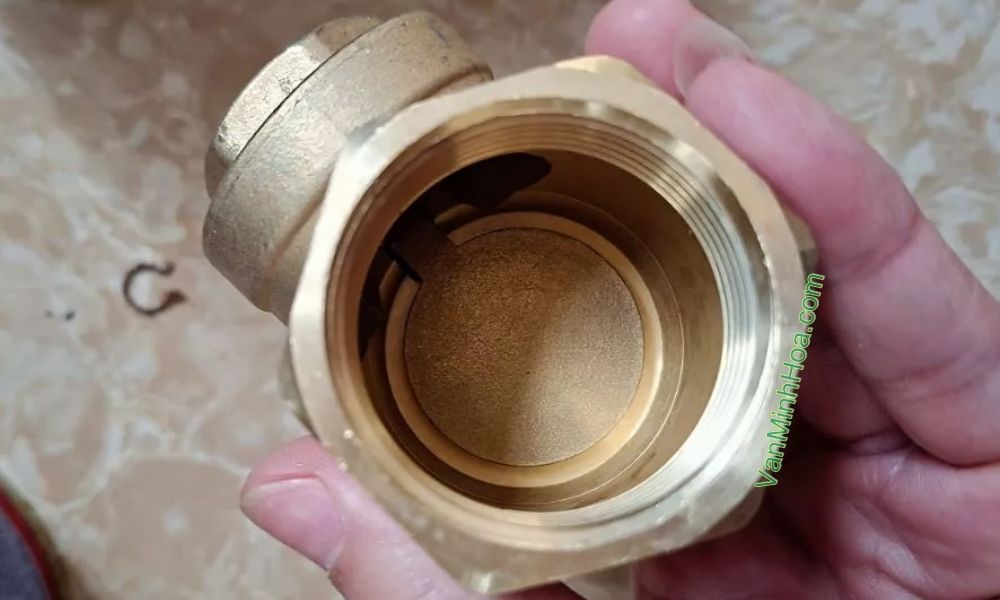 lòng van 1 chiều lá mbv dn65