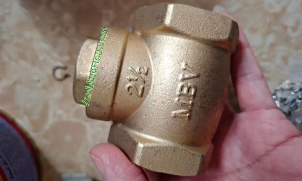 mặt trước van 1 chiều lá mbv dn65