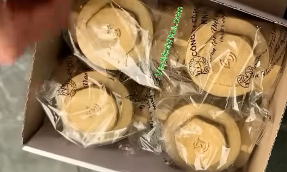 mở hộp van 1 chiều lá mbv dn40