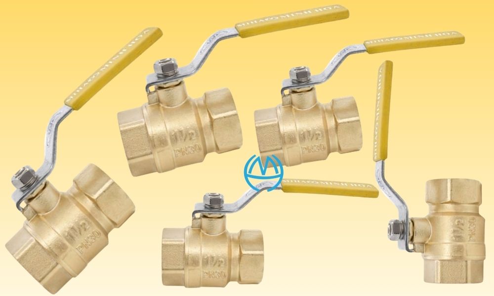 van bi miha pn30 dn40 là gì